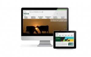Allice (Paris) - Site Internet et Extranet avec PWA - Home Page