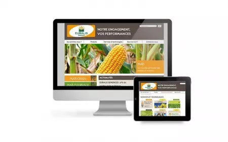 Création du site internet d’Euralis Semences