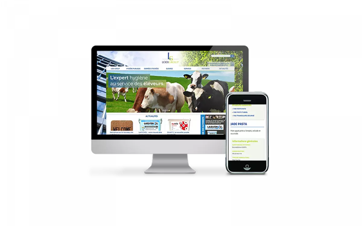 page d'accueil site internet Lodi Group