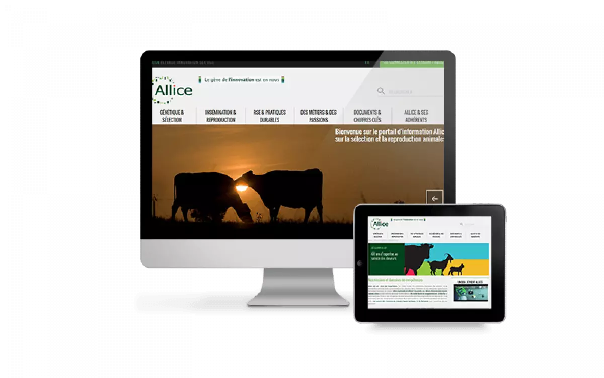 Le hub internet de Allice