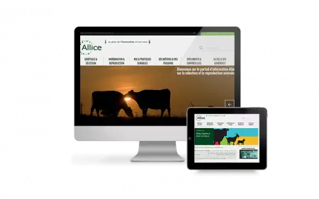 Le hub internet de Allice