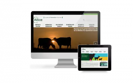 Allice (Paris) - Site Internet et Extranet avec PWA - Home Page