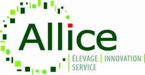 Avis client sur la refonte du site internet Allice