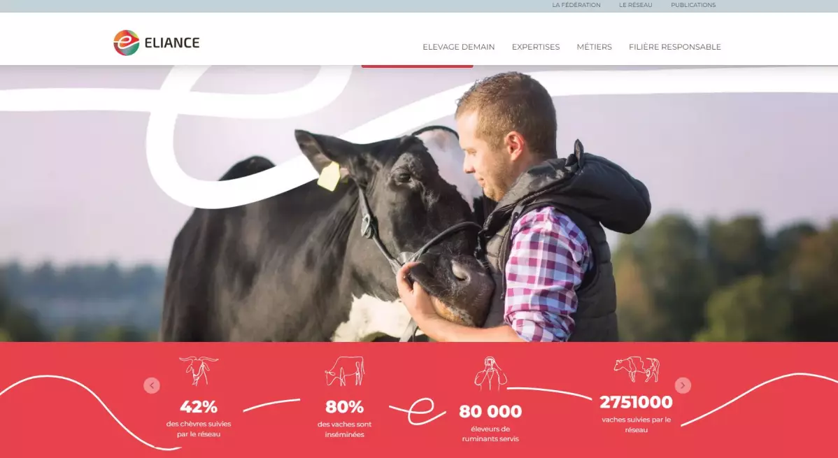 Avis client pour la réalisation du site internet de la fédération Eliance