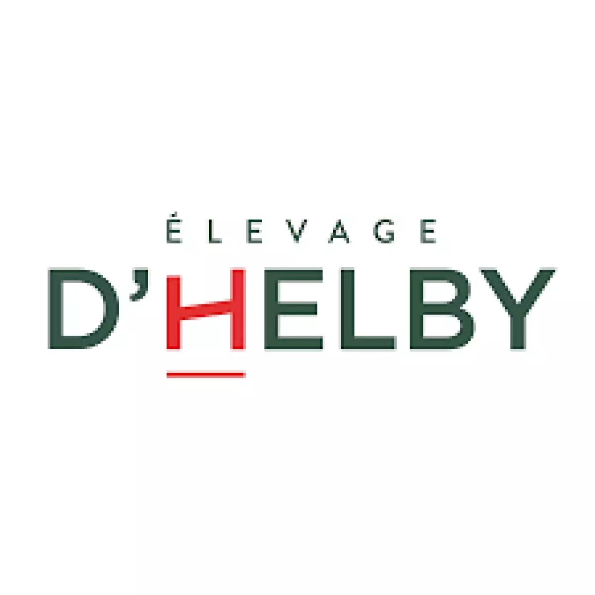 Avis client pour la réalisation du site internet de l'Elevage d'Helby