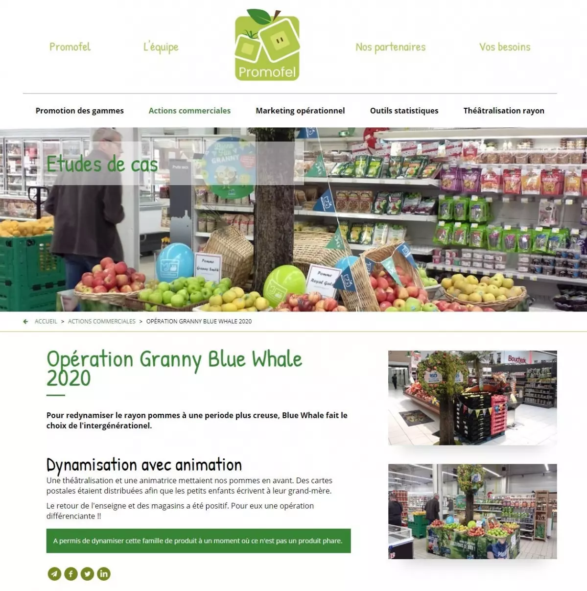 Site internet de Promofel - Article