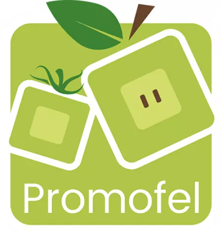 Avis client réalisation du site internet Promofel