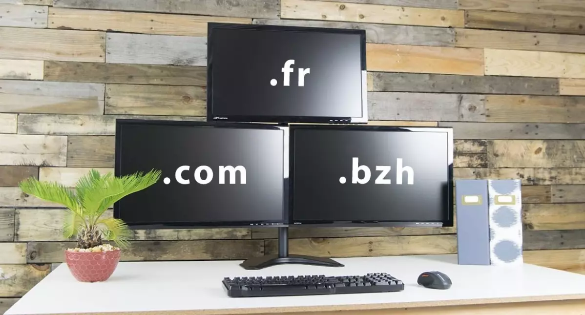 Gestion des noms de domaines, dns et messagerie électronique